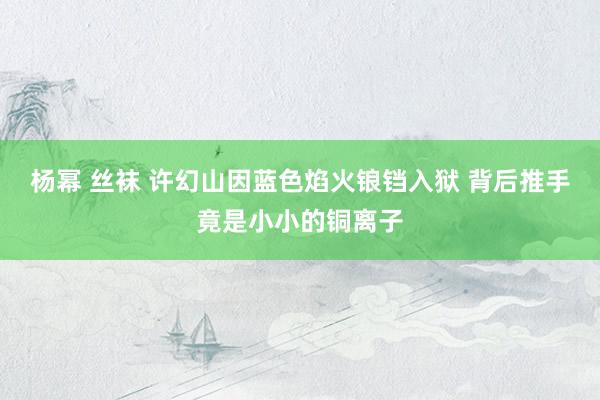 杨幂 丝袜 许幻山因蓝色焰火锒铛入狱 背后推手竟是小小的铜离子