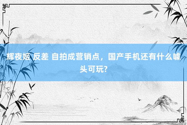 辉夜姬 反差 自拍成营销点，国产手机还有什么噱头可玩?
