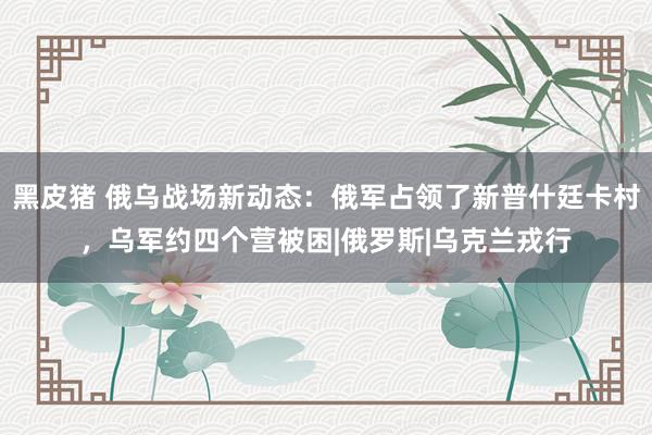 黑皮猪 俄乌战场新动态：俄军占领了新普什廷卡村，乌军约四个营被困|俄罗斯|乌克兰戎行