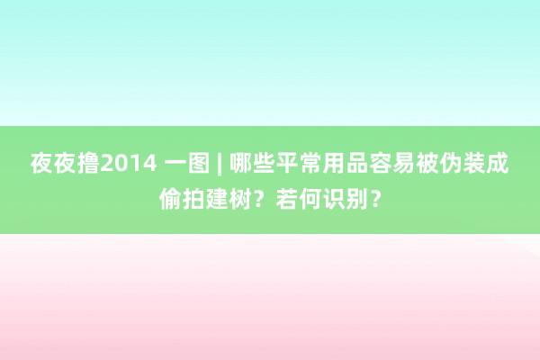 夜夜撸2014 一图 | 哪些平常用品容易被伪装成偷拍建树？若何识别？