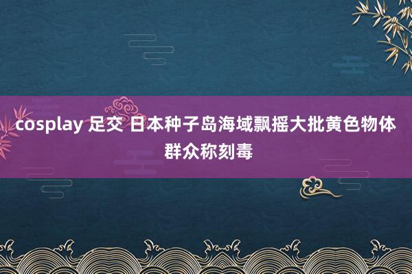 cosplay 足交 日本种子岛海域飘摇大批黄色物体 群众称刻毒