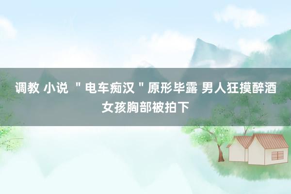 调教 小说 ＂电车痴汉＂原形毕露 男人狂摸醉酒女孩胸部被拍下