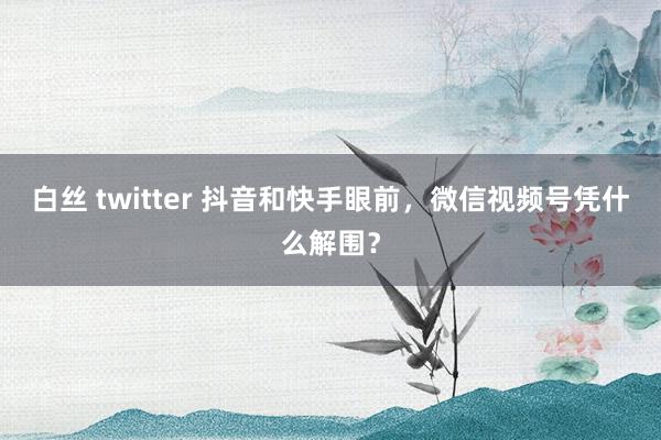 白丝 twitter 抖音和快手眼前，微信视频号凭什么解围？