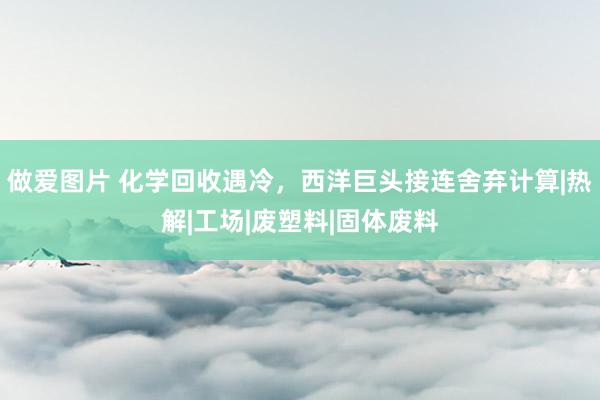 做爱图片 化学回收遇冷，西洋巨头接连舍弃计算|热解|工场|废塑料|固体废料