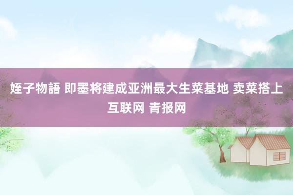姪子物語 即墨将建成亚洲最大生菜基地 卖菜搭上互联网 青报网