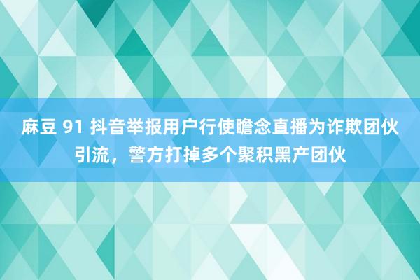 麻豆 91 抖音举报用户行使瞻念直播为诈欺团伙引流，警方打掉多个聚积黑产团伙