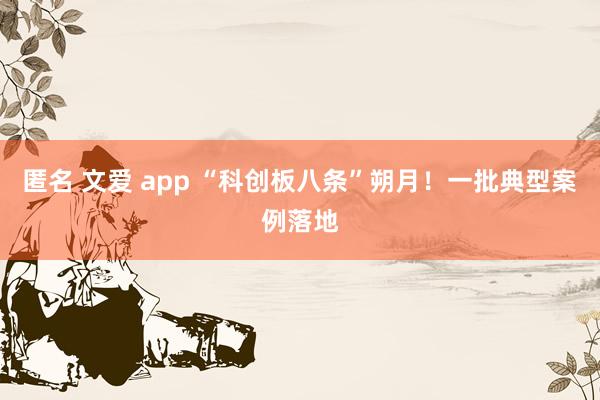 匿名 文爱 app “科创板八条”朔月！一批典型案例落地