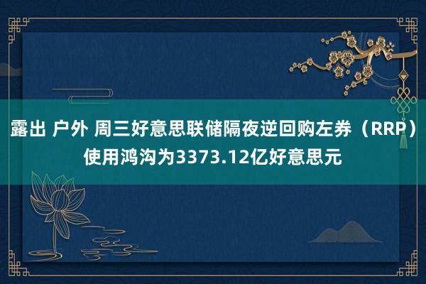 露出 户外 周三好意思联储隔夜逆回购左券（RRP）使用鸿沟为3373.12亿好意思元