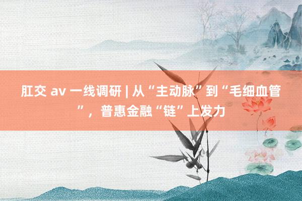 肛交 av 一线调研 | 从“主动脉”到“毛细血管”，普惠金融“链”上发力