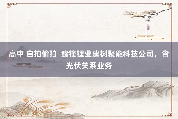 高中 自拍偷拍  赣锋锂业建树聚能科技公司，含光伏关系业务